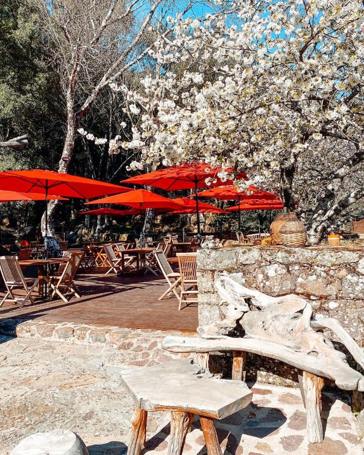 Auberge De La Foret Bonifatu Calenzana Exterior photo